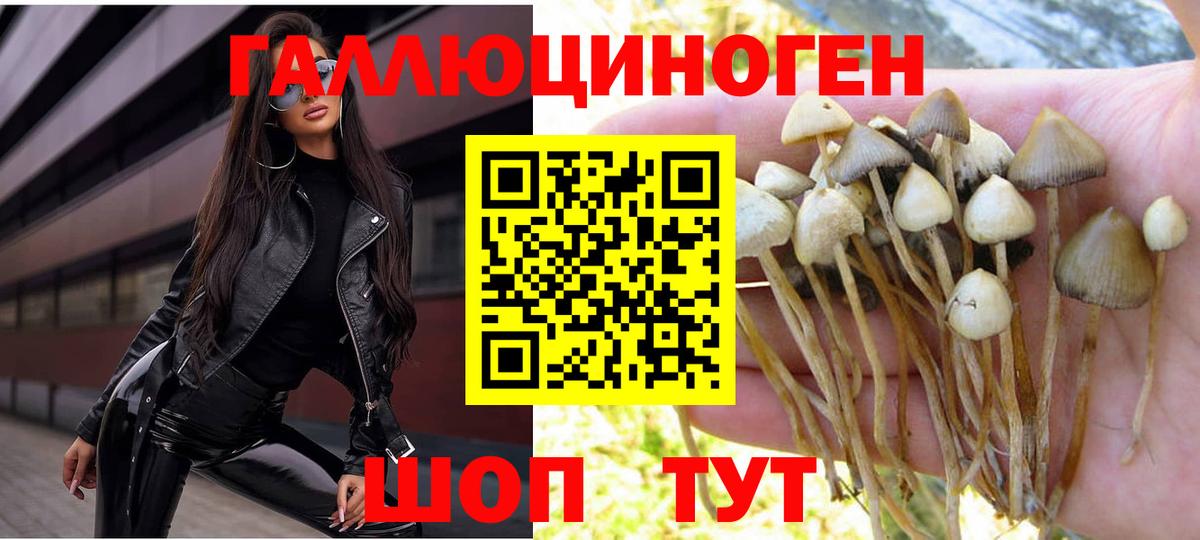 Галлюциногенные грибы Psilocybe  Вход с VPN  Зеленодольск 